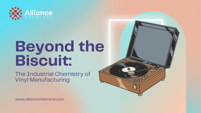 Beyond the Biscuit: The Industrial Chemistry of Vinyl Manufacturing Blog Bannewr