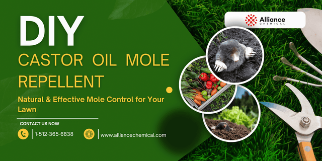 DIY Castor Oil Mole Repellent: Natural & Effective Mole Control for Your Law — Alliance Chemical