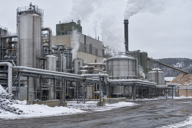 A kraft wood pulp mill on an overcast winter morning, steam rising from process vents above insulated pipework and snow on the ground