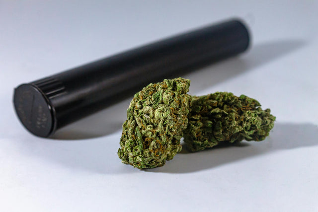 Close-up of marijuana buds with a black storage container, ideal for medical or recreational use.