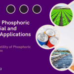 The Power of Phosphoric Acid: Industrial and Food-Grade Applications