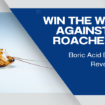 Win the War Against Roaches