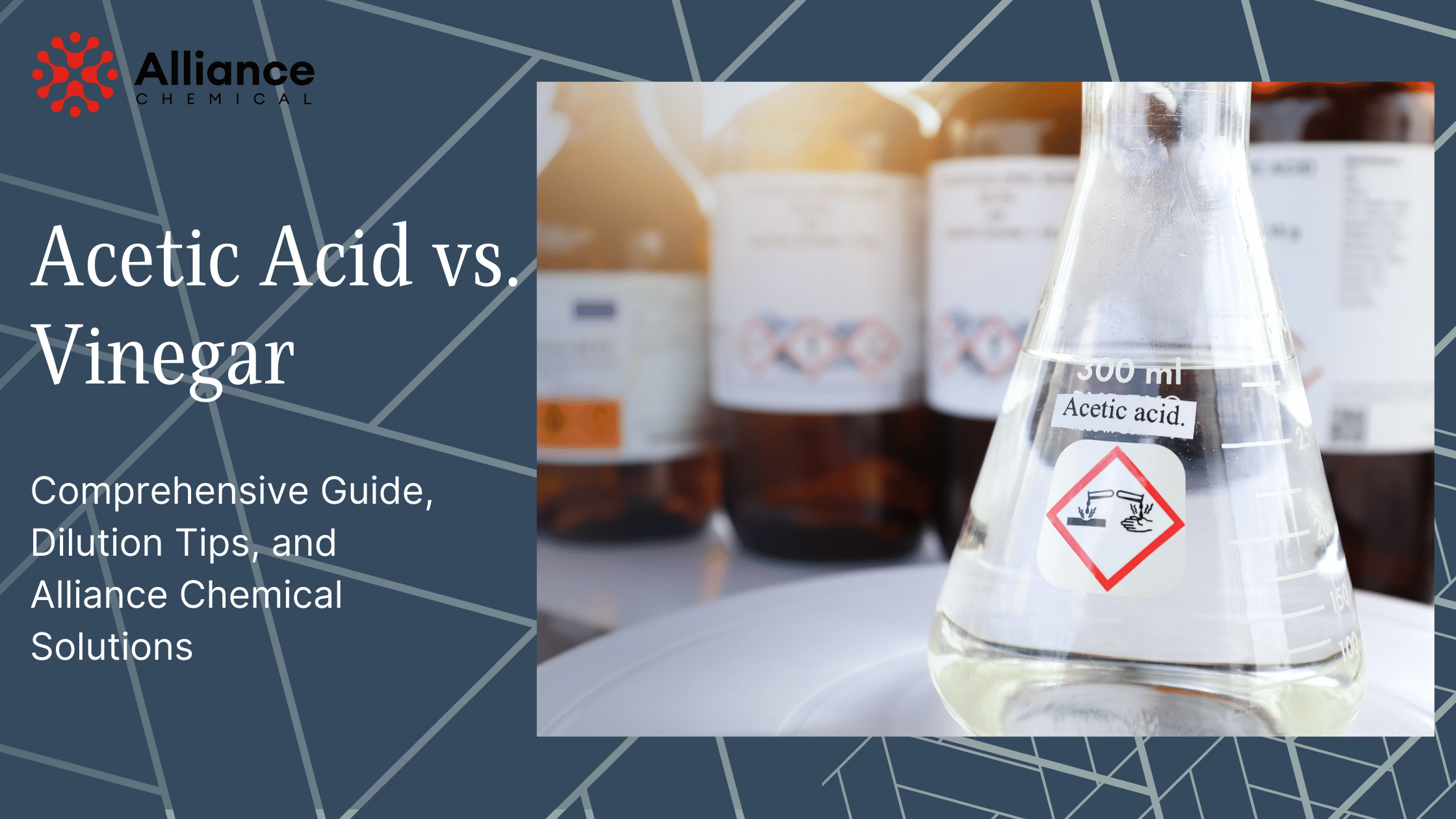 Acetic Acid vs. Vinegar Banner