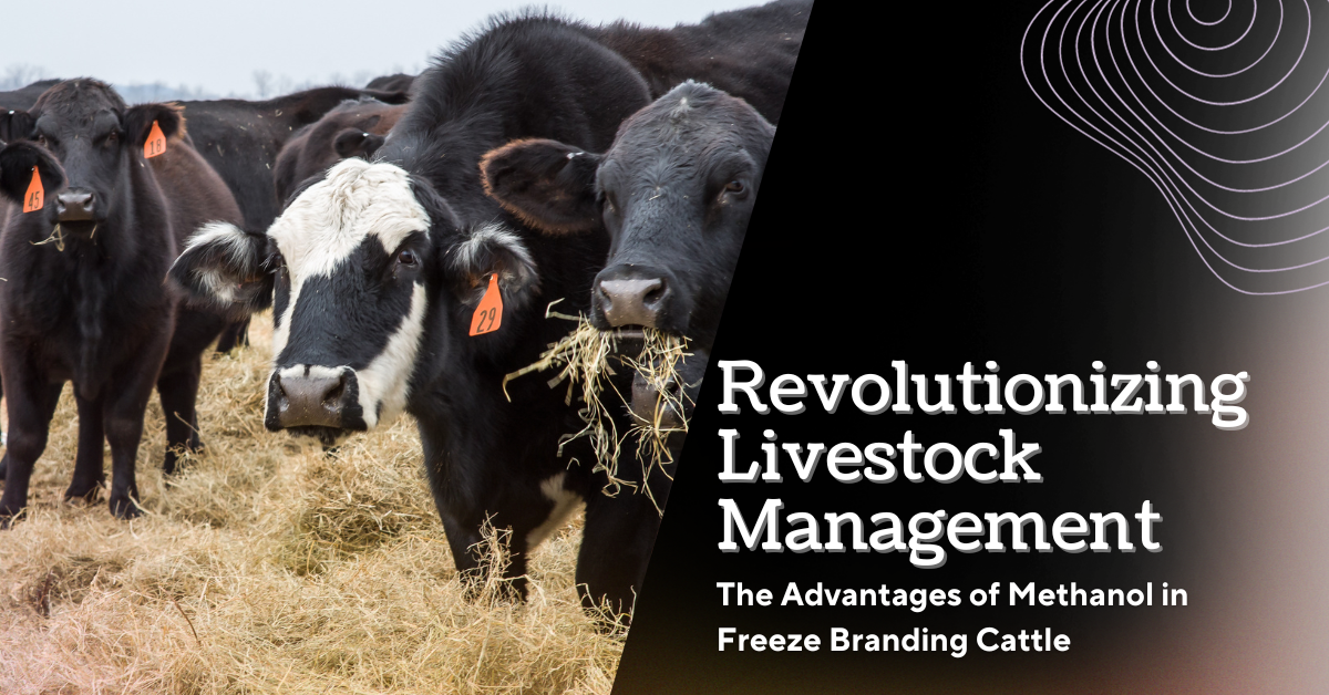 Revolutionizing Livestock Management: The Advantages of Methanol in Fr ...