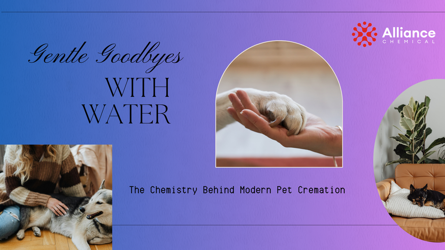 Gentle Goodbyes with Water: The Chemistry Behind Modern Pet Cremation Blog Banner