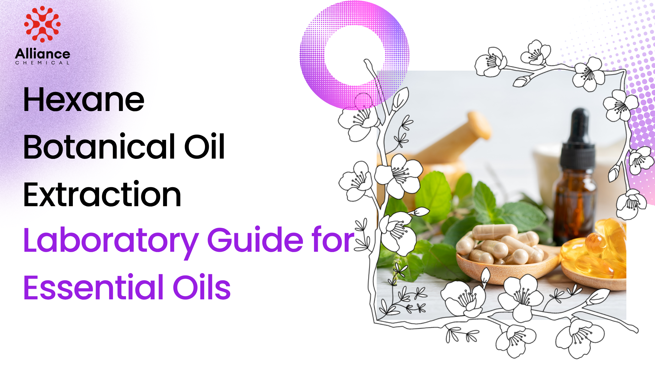 HEXANE BOTANICALS OIL EXTRACTION BLOG BANNER