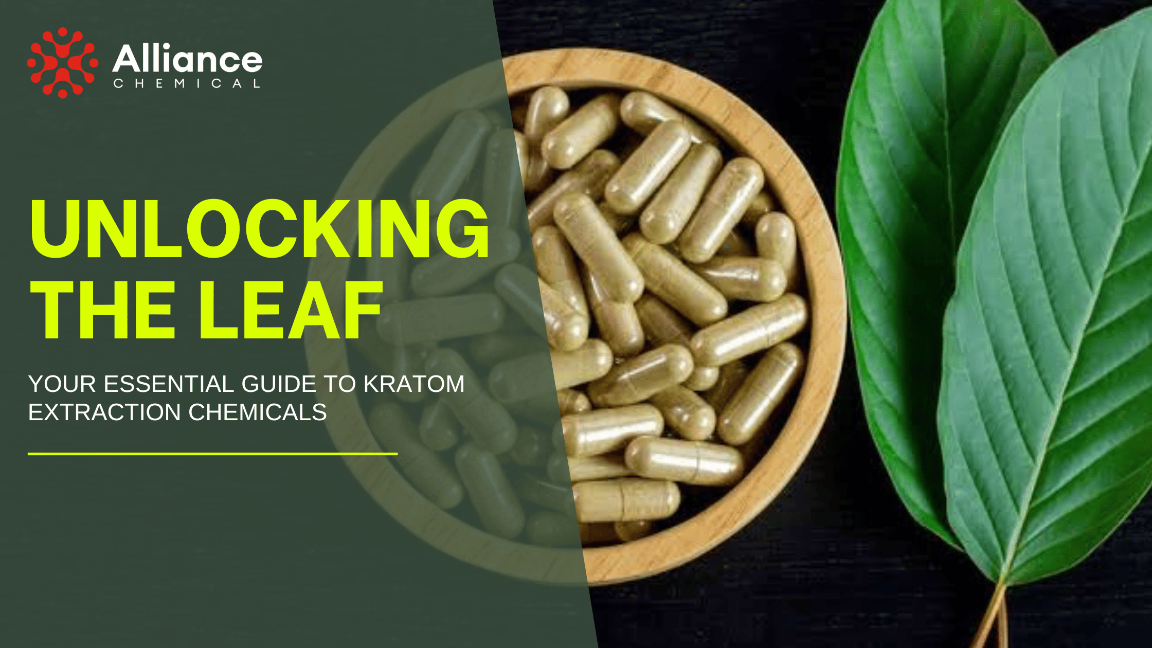 Unlocking the Leaf: Your Essential Guide to Kratom Extraction Chemicals