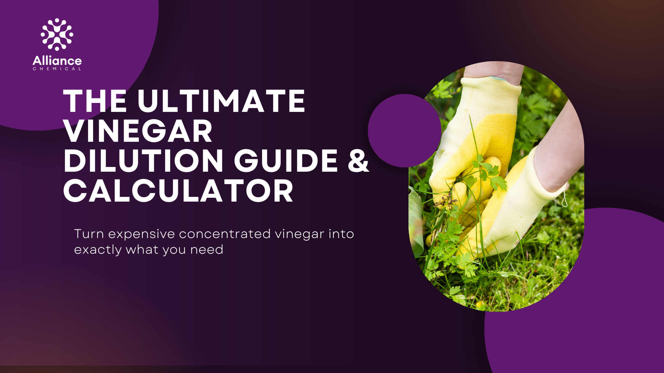 The Ultimate Vinegar Dilution Guide & Calculator