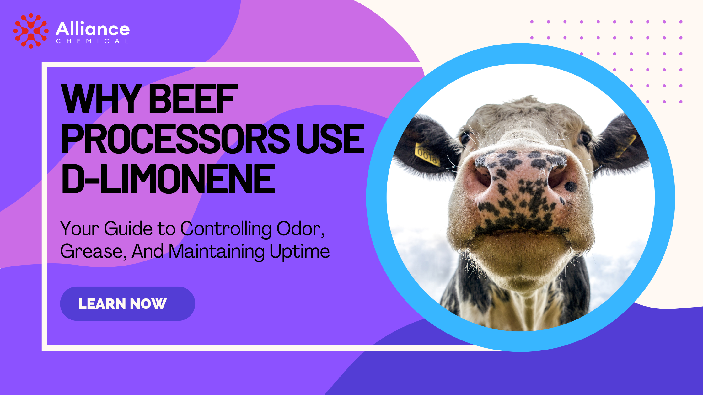 Beef proccesor Use D-limonene Purple and Pink Blog Banner
