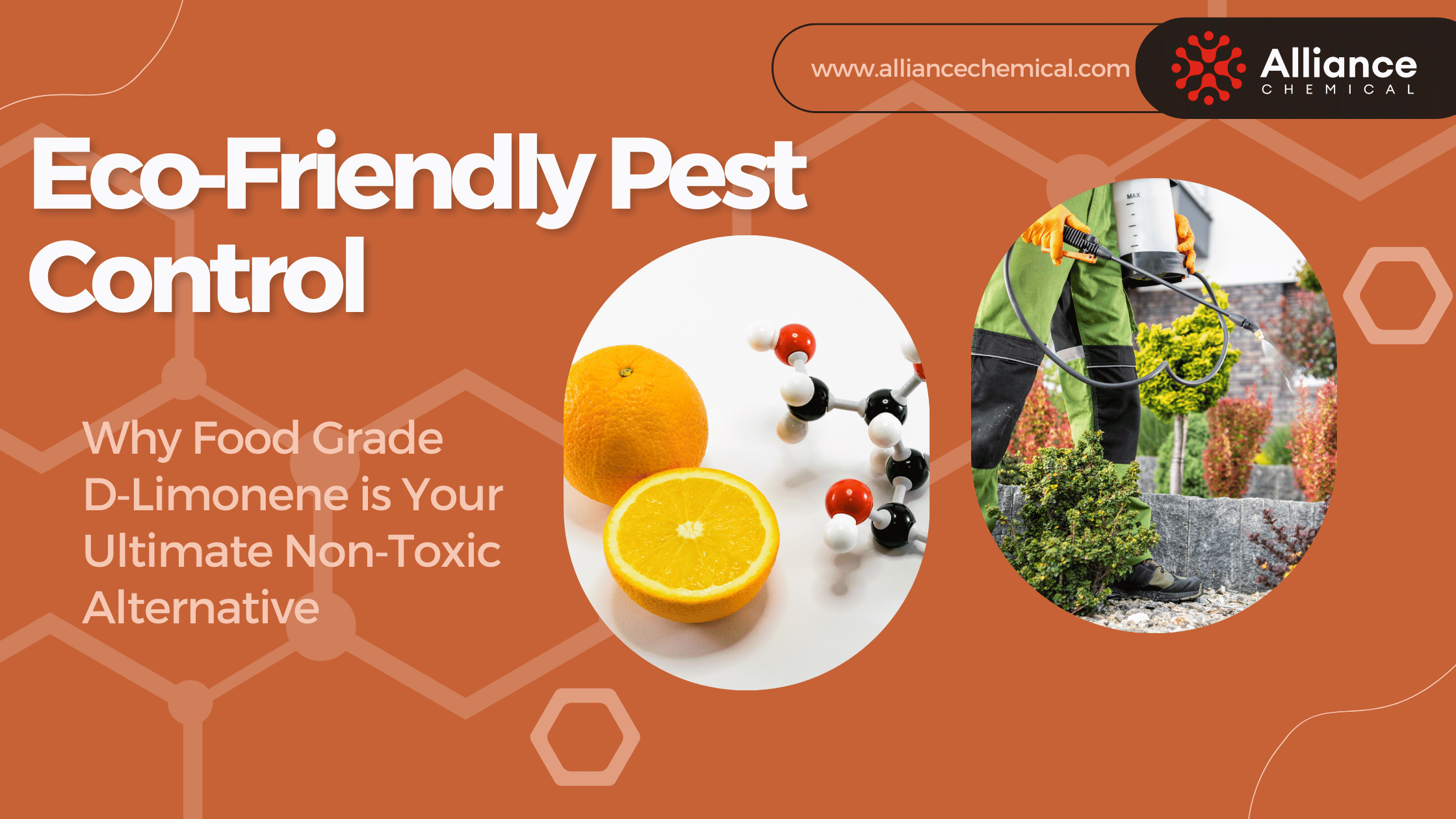 Eco‑Friendly Pest Control: Why Food Grade D‑Limonene is Your Ultimate Non‑Toxic Alternative