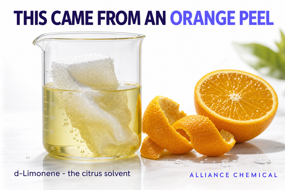 A block of polystyrene foam dissolving in a beaker of citrus-yellow d-limonene solvent beside fresh orange peels