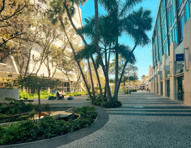 A city street with palm trees on both sides