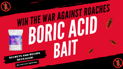 Boric Acid for Roaches: DIY Bait Recipes