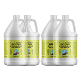 Four 1-gallon HDPE jugs of Alliance Chemical Ethylene Glycol 50/50 with white screw caps, handles, and product labels.